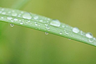 肉鸽生存冒险游戏《哈特纳之塔》公布 2022年发售 